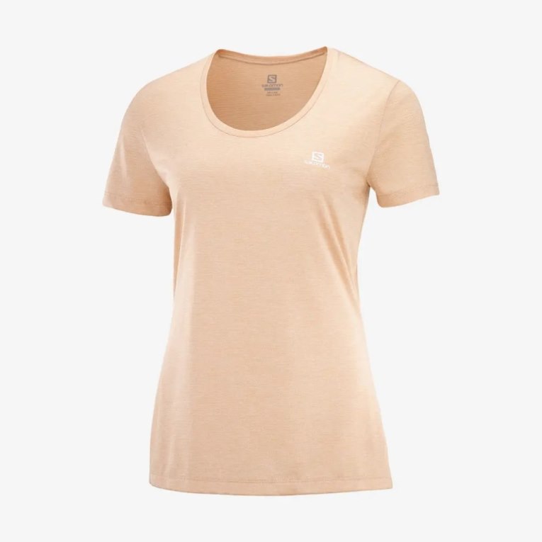 Apricot Salomon Agile Short Sleeve Women's T-Shirts | IE ET2463